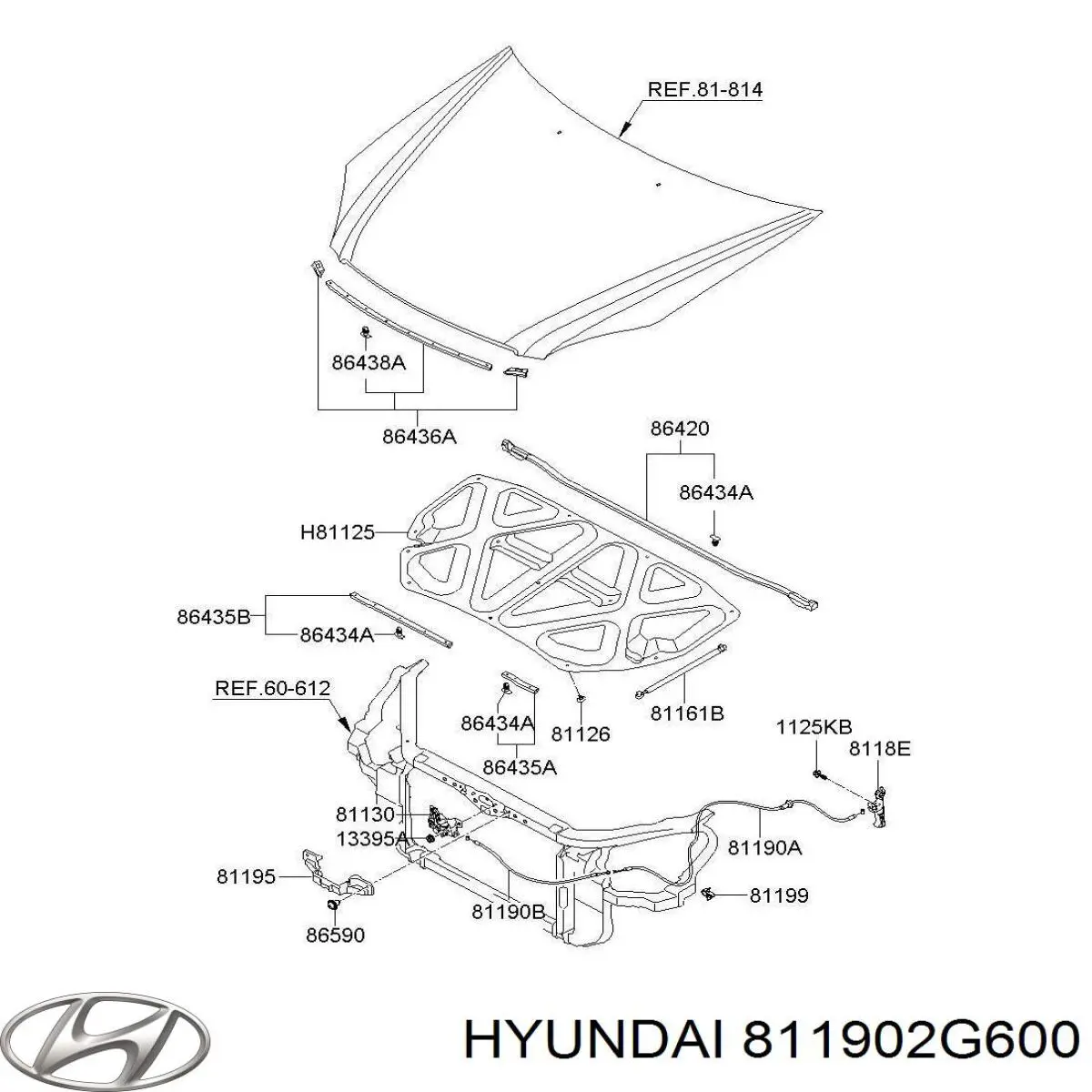 811902G600 Hyundai/Kia 