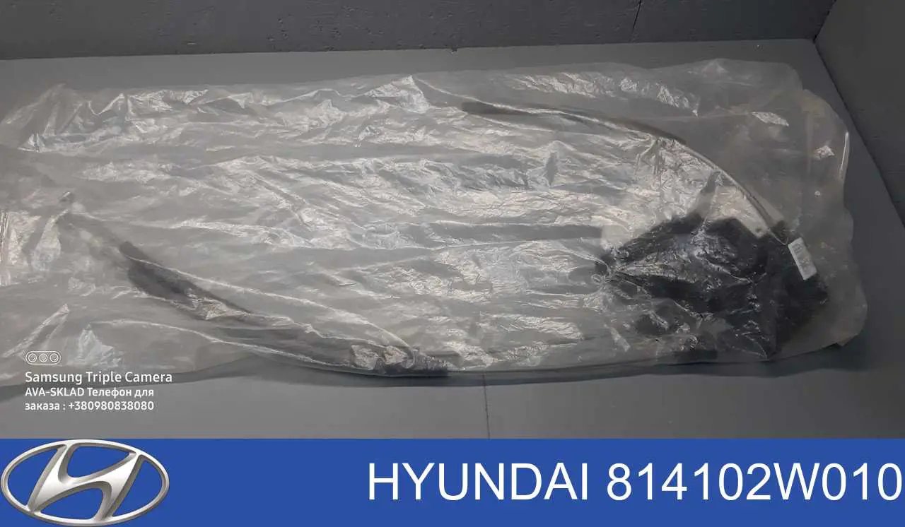 814102W010 Hyundai/Kia Замок задніх дверей, лівих