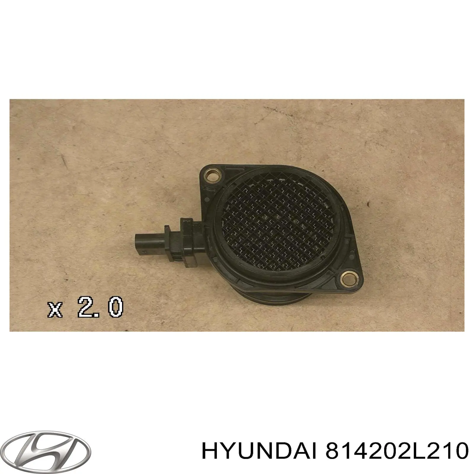 814202L210 Hyundai/Kia Замок задньої дверї, правої