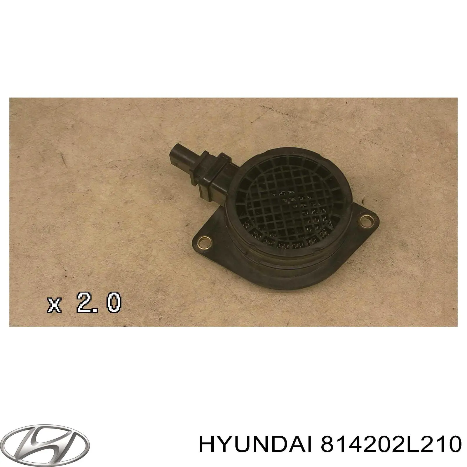 Купити 814202L210 Hyundai/Kia Замок задньої дверї, правої
