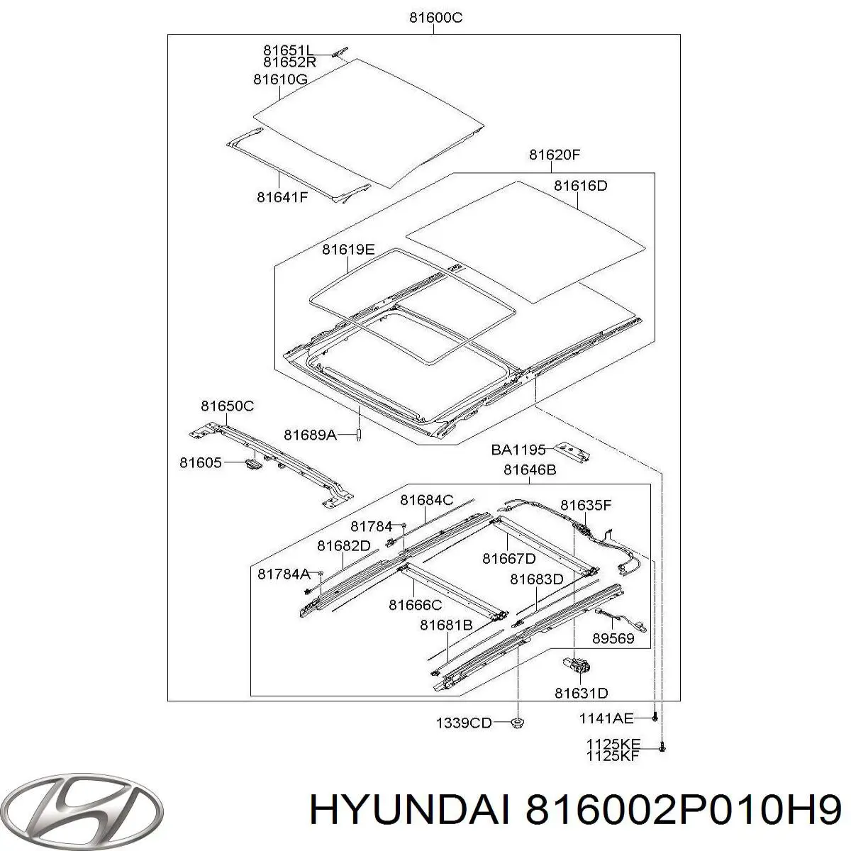 816002P010H9 Hyundai/Kia дах