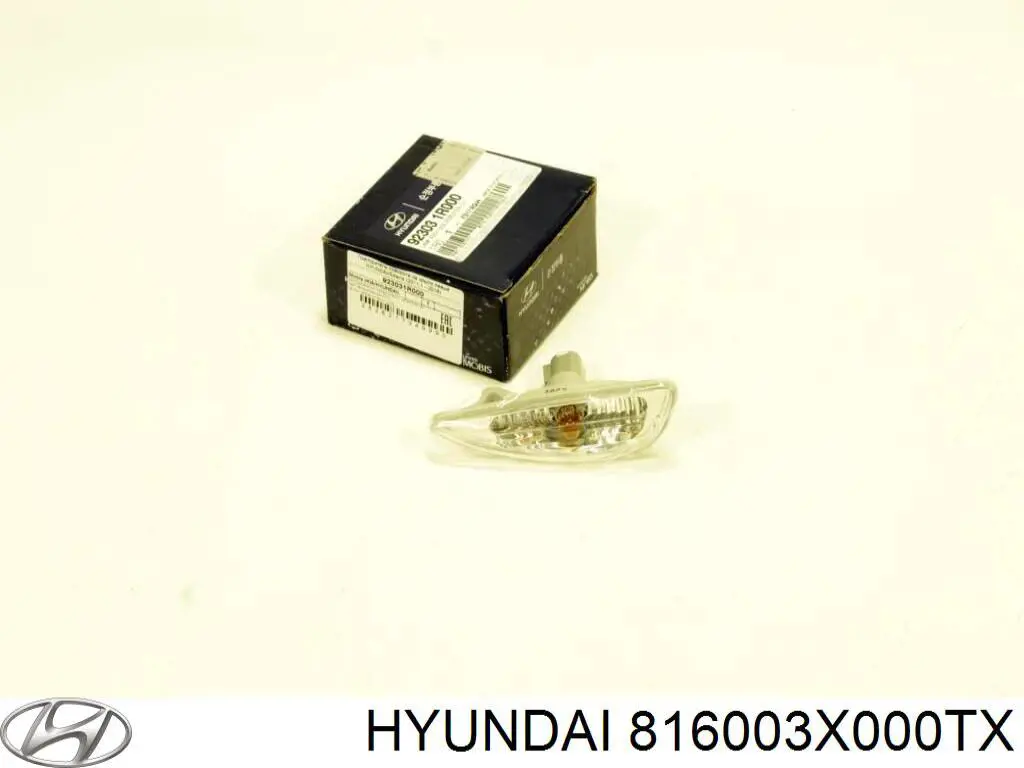 Люк в зборі 816003X000TX Hyundai/Kia