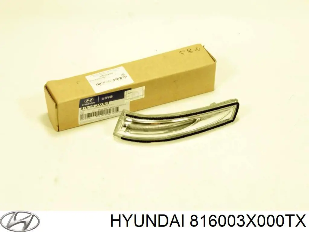 816003X000TX Hyundai/Kia Люки підлоги