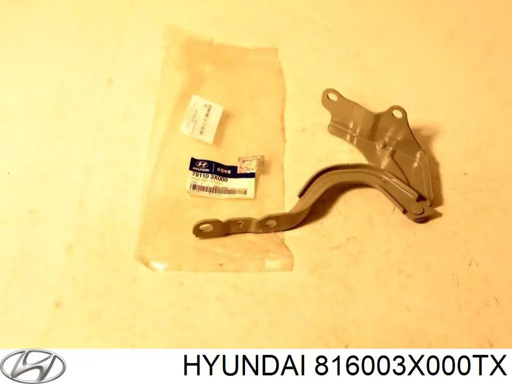 Люк в зборі Hyundai/Kia 816003X000TX ціна, від 190.40 USD