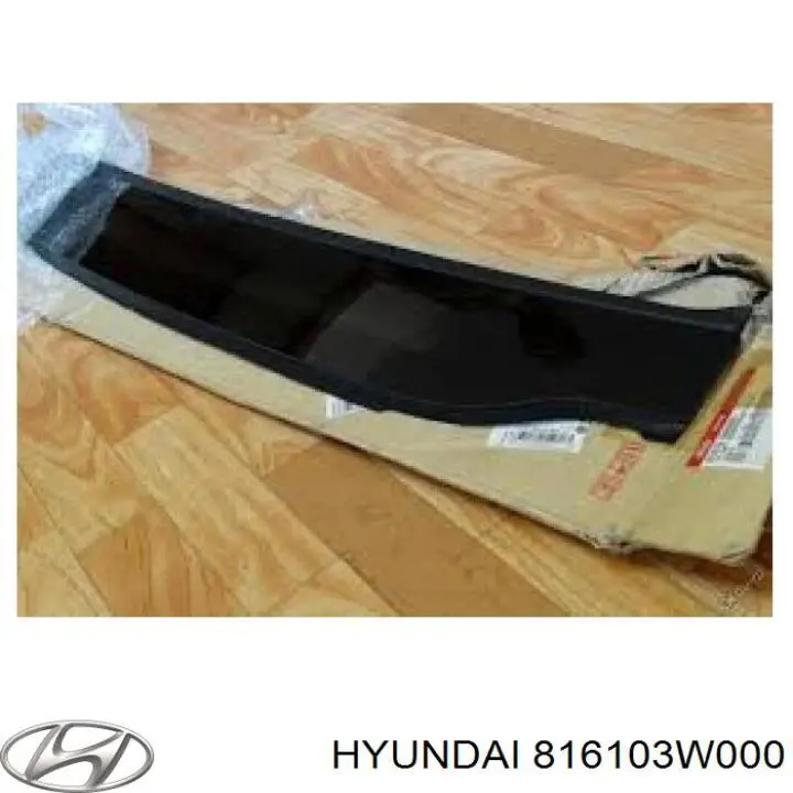 816103W000 Hyundai/Kia Кришка люка даху передня