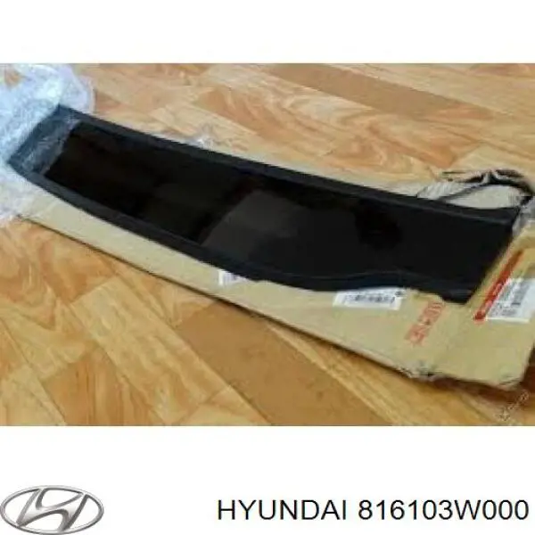 Кришка люка даху передня Hyundai/Kia 816103W000 ціна, від 224.03 USD