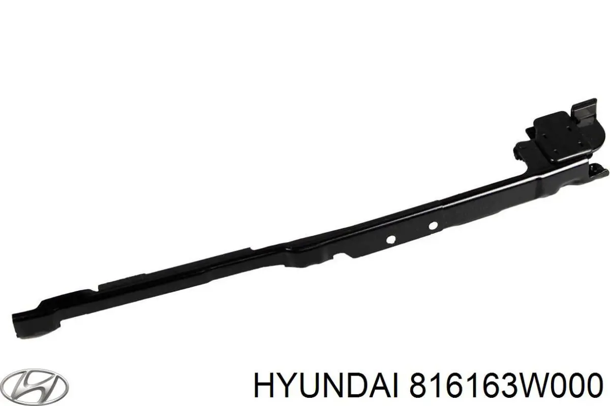 Купити 816163W000 Hyundai/Kia 