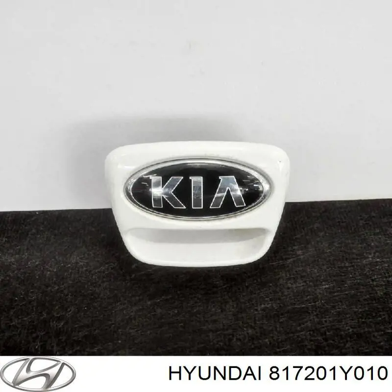 817201Y010 Hyundai/Kia Ручка ляди, зовнішня