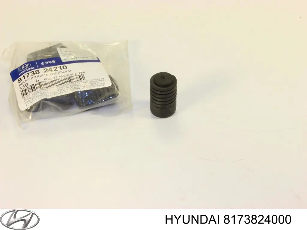 Купити 8173824000 Hyundai/Kia Буфер двері багажника