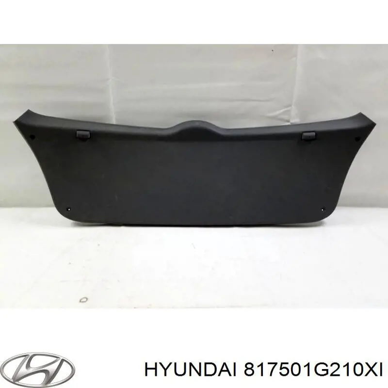 817501G210XI Hyundai/Kia 