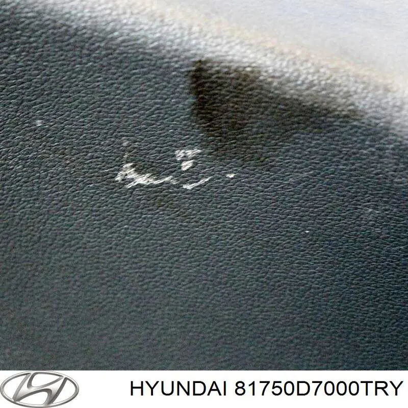 Пластик п'ятих дверей Hyundai/Kia 81750D7000TRY ціна, від 182.30 USD