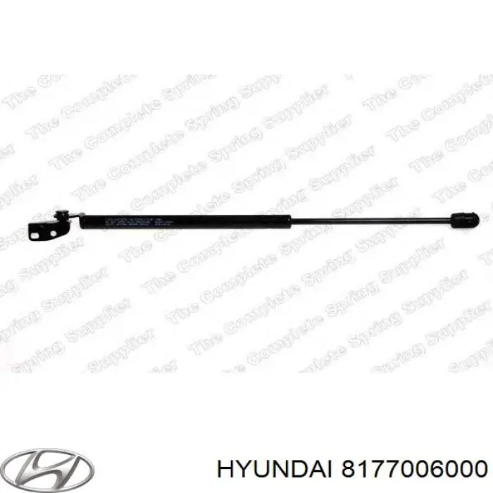 Купити 8177006000 Hyundai/Kia Амортизатор двері багажника