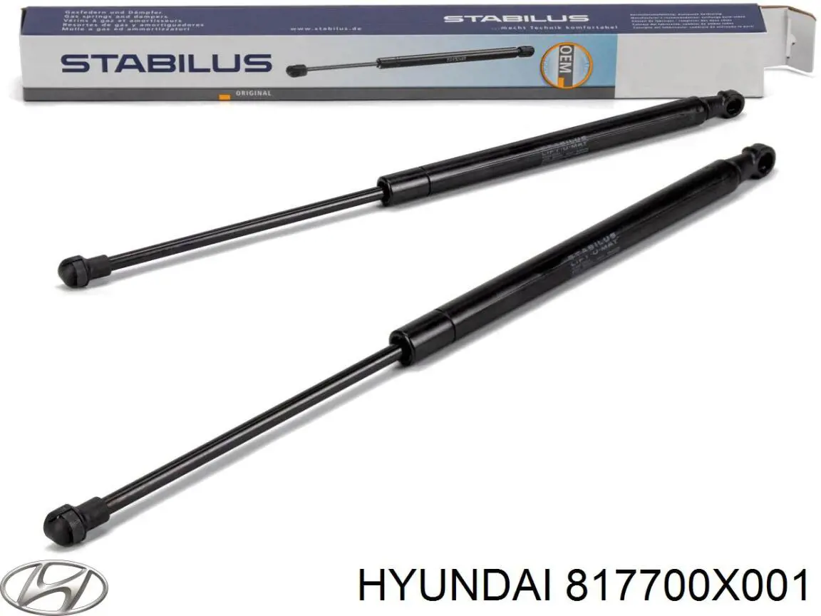 Амортизатор двері задньої Hyundai/Kia 817700X001 ціна, від 9.01 USD