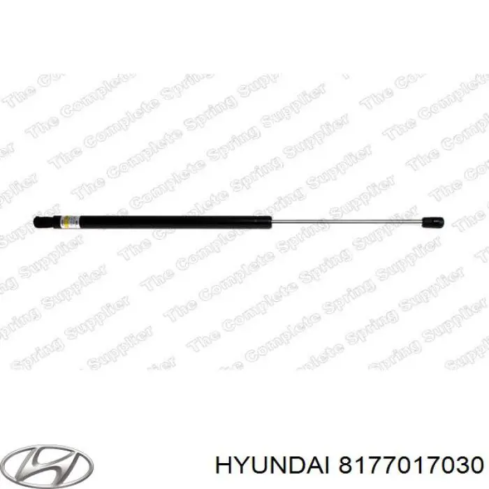 Амортизатор двері задньої Hyundai/Kia 8177017030 ціна, від 8.06 USD