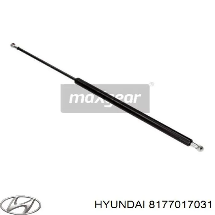 Амортизатор двері задньої Hyundai/Kia 8177017031 ціна, від 7.17 USD