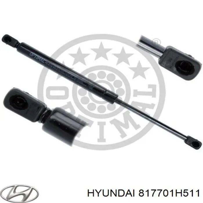 Амортизатор двері задньої Hyundai/Kia 817701H511 ціна, від 13.94 USD