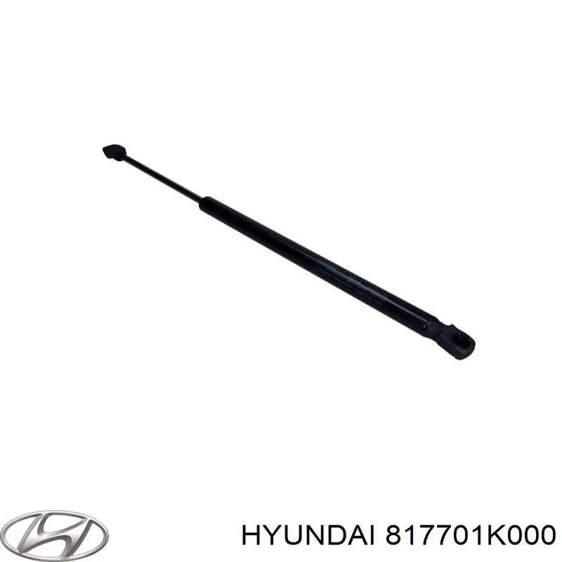 Амортизатор двері задньої Stabilus 924464 ціна, від 9.00 USD