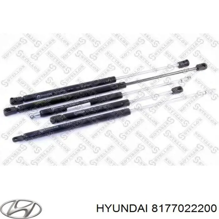 Купити Амортизатор багажника Hyundai Accent I 