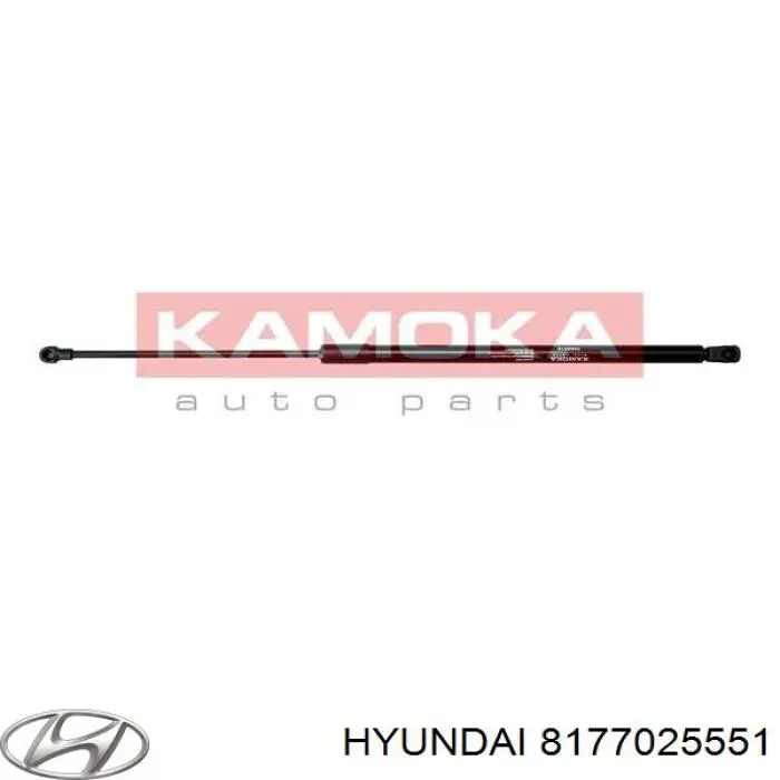 Амортизатор двері задньої Hyundai/Kia 8177025551 ціна, від 9.28 USD