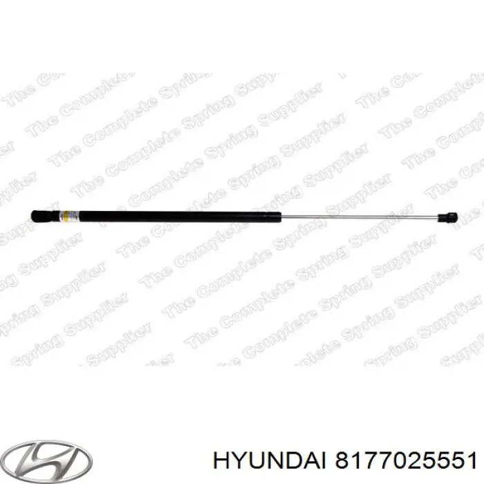 8177025550 Hyundai/Kia амортизатор кришки багажника/ двері 3/5-ї задньої