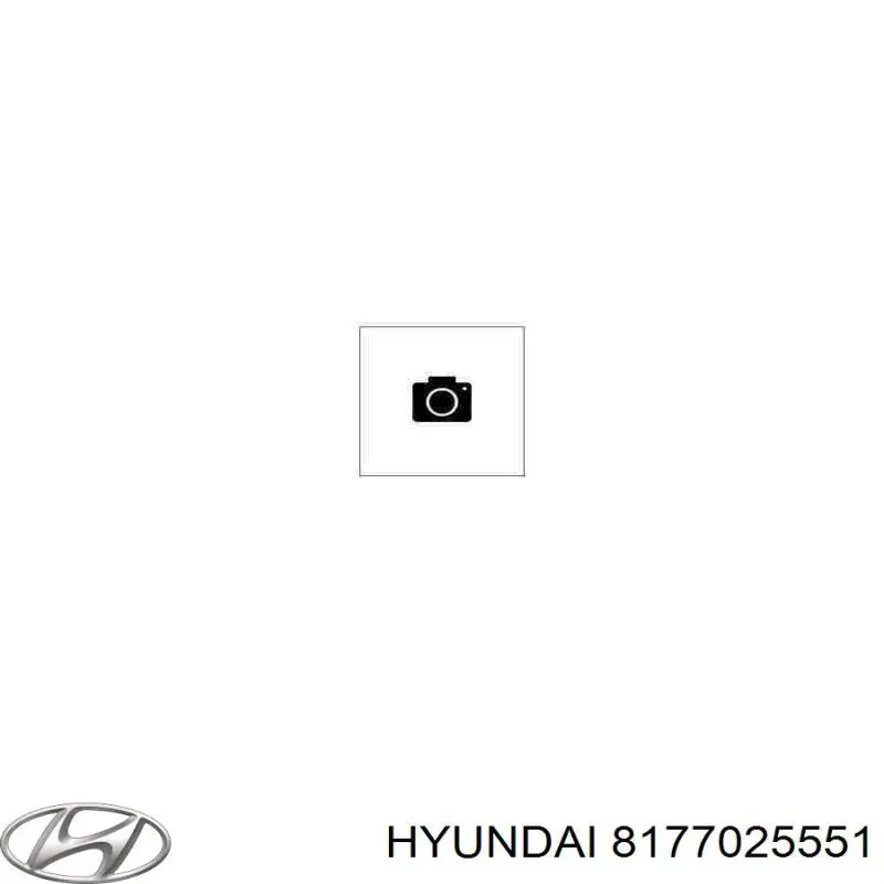 Купити 8177025551 Hyundai/Kia Амортизатор двері багажника