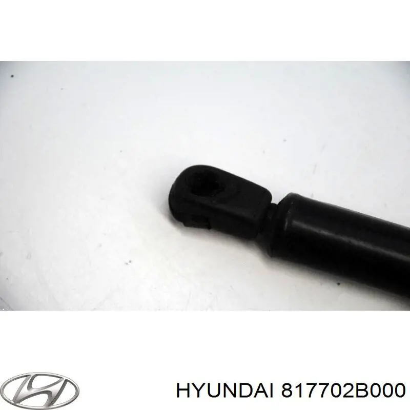 Амортизатор двері задньої Hyundai/Kia 817702B000 ціна, від 6.33 USD