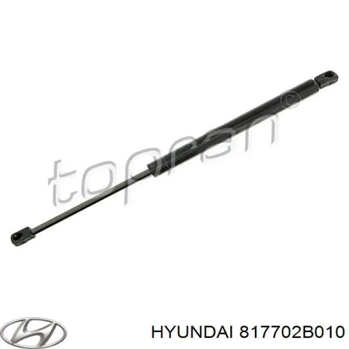 Амортизатор двері задньої Hyundai/Kia 817702B010 ціна, від 2.87 USD