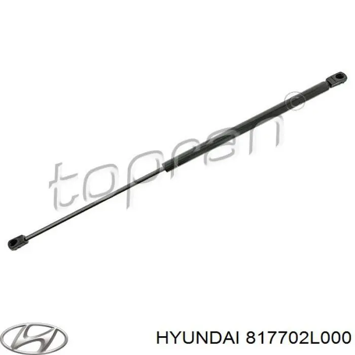 Купити 817702L000 Hyundai/Kia Амортизатор двері багажника