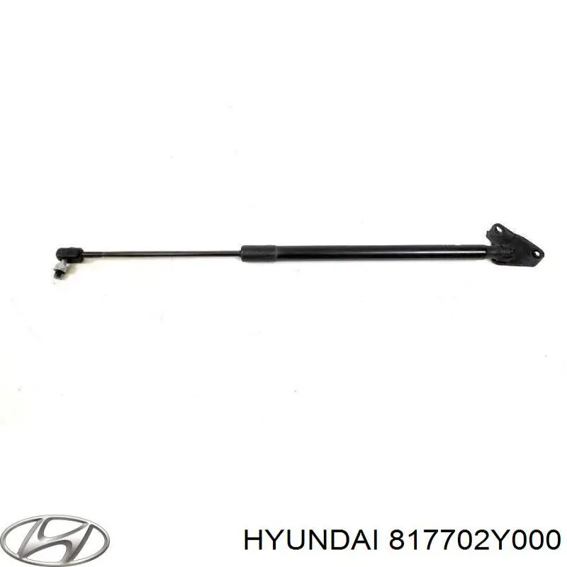 Амортизатор двері задньої Hyundai/Kia 817702Y000 ціна, від 8.70 USD