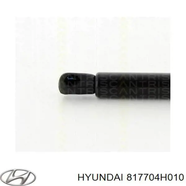 817704H010 Hyundai/Kia амортизатор кришки багажника/ двері 3/5-ї задньої