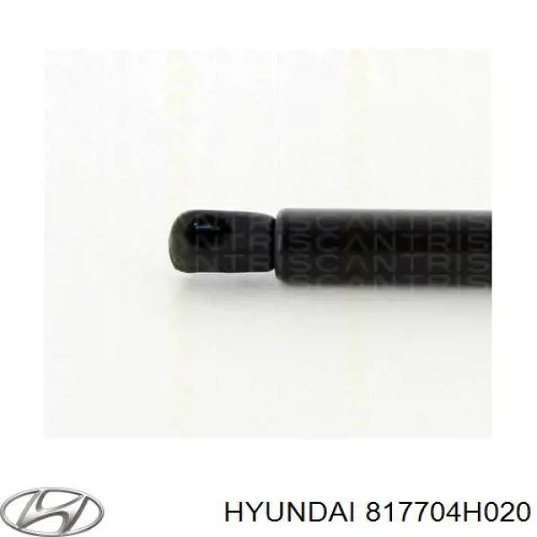 Купити 430719092200 Magneti Marelli Амортизатор двері багажника