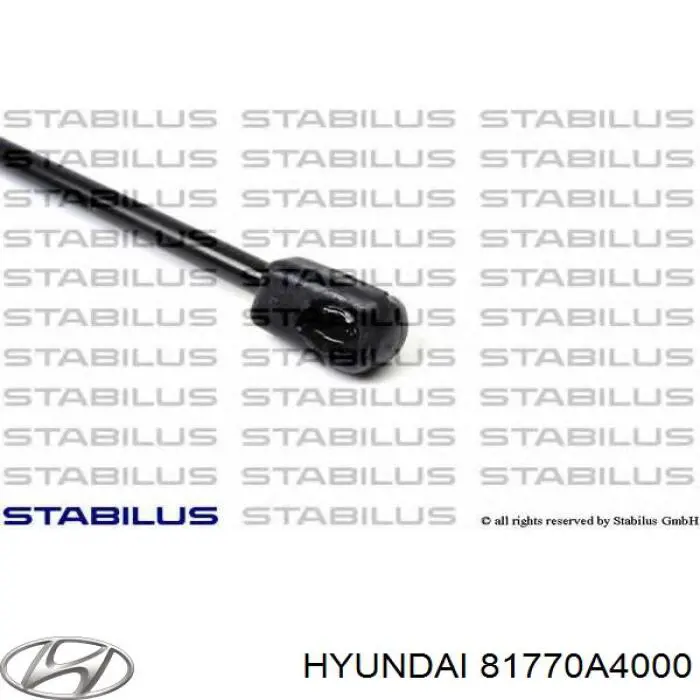 Амортизатор двері задньої Hyundai/Kia 81770A4000 ціна, від 15.25 USD