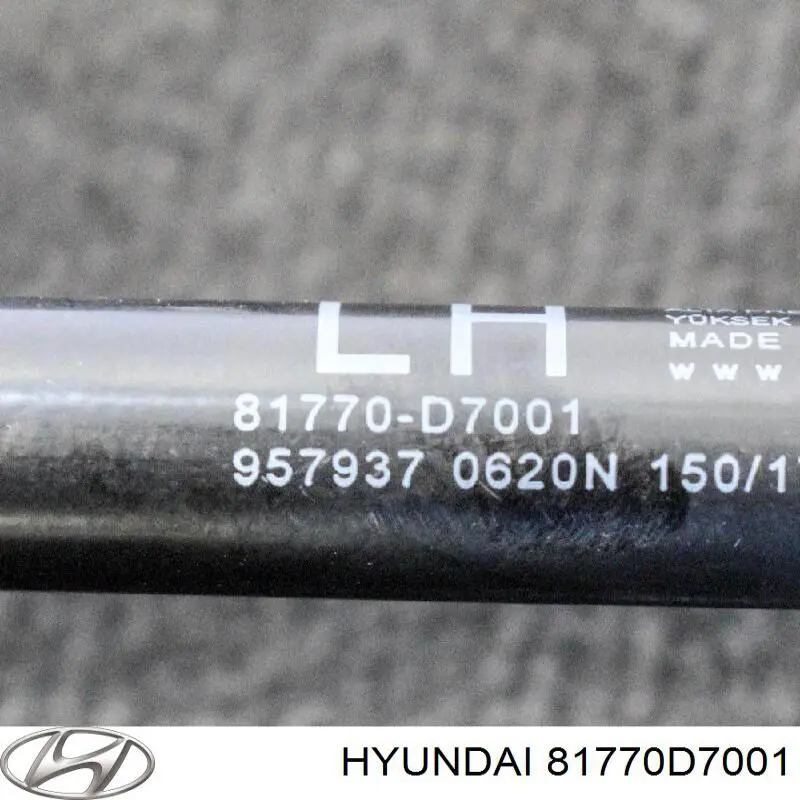  81770D7001FFF Hyundai/Kia