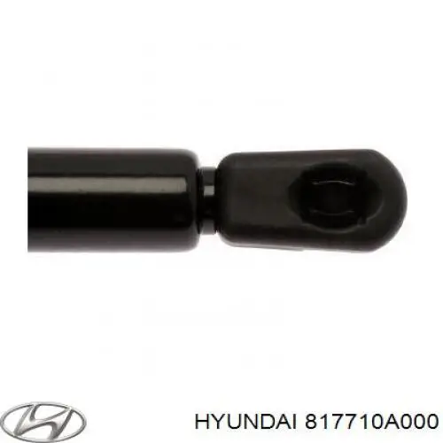 Амортизатор кришки багажника/ двері 3/5-ї задньої Hyundai Sonata (NF) (Хендай Соната)