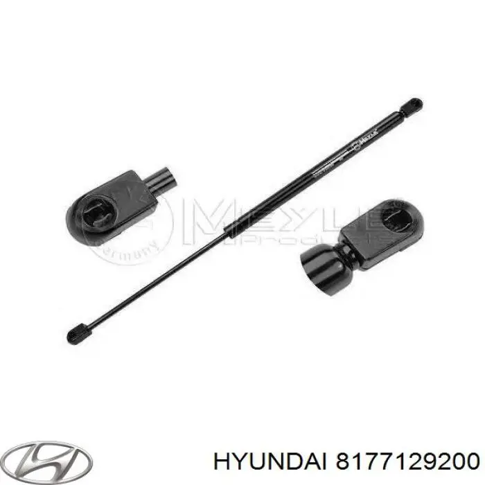 Амортизатор двері задньої NTY AEHY020 ціна, від 8.38 USD