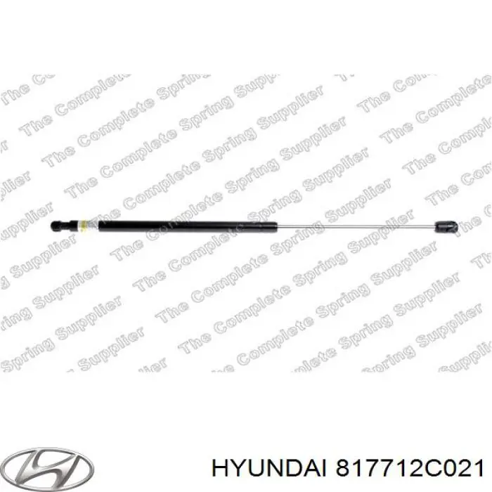 Купити 430719037400 Magneti Marelli Амортизатор двері багажника