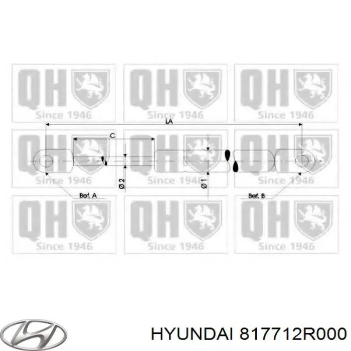 Амортизатор двері задньої Hyundai/Kia 817712R000 ціна, від 7.89 USD