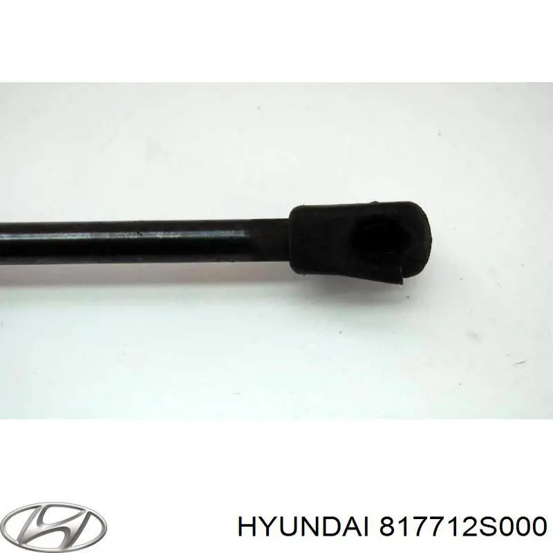 Амортизатор двері задньої NTY AEHY039 ціна, від 6.33 USD