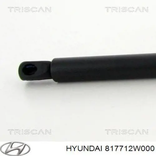 Амортизатор двері задньої Hyundai/Kia 817712W000 ціна, від 23.34 USD