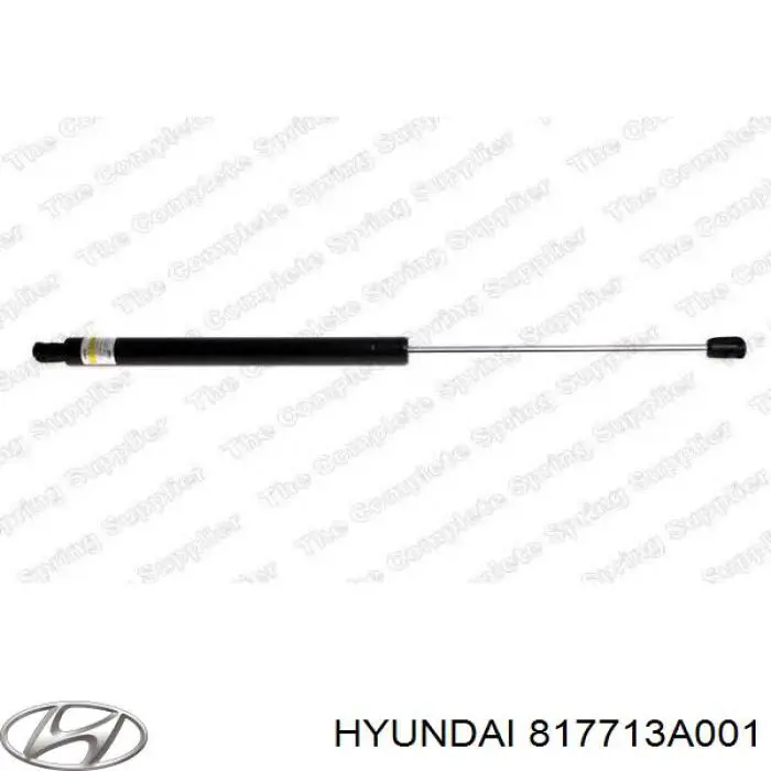 Купити 817713A001 Hyundai/Kia Амортизатор двері багажника