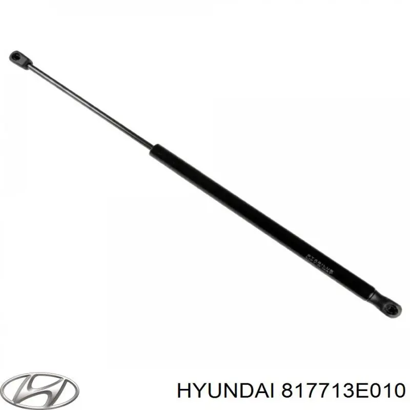 Амортизатор двері задньої Hyundai/Kia 817713E010 ціна, від 4.73 USD