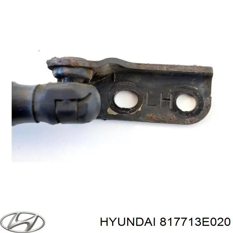 Амортизатор двері задньої Hyundai/Kia 817713E020 ціна, від 5.07 USD