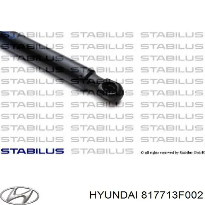 Амортизатор двері задньої Hyundai/Kia 817713F002 ціна, від 58.58 USD