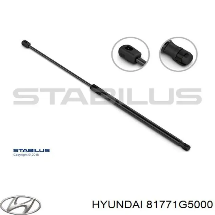 Амортизатор двері задньої Monroe ML6588 ціна, від 17.32 USD