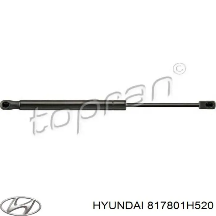 817801H520 Hyundai/Kia амортизатор кришки багажника/ двері 3/5-ї задньої