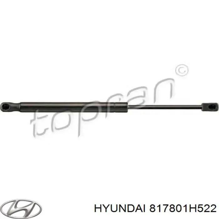 Амортизатор двері задньої Hyundai/Kia 817801H522 ціна, від 5.04 USD
