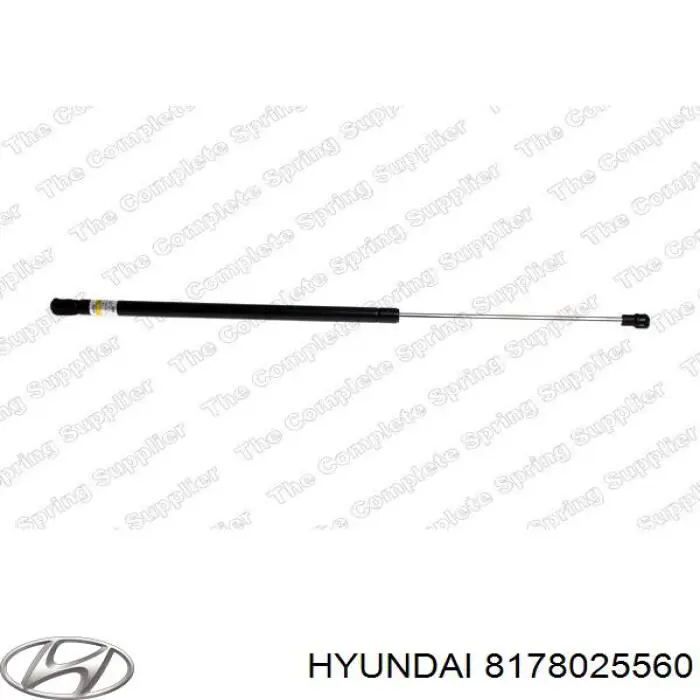  8178025560 Hyundai/Kia