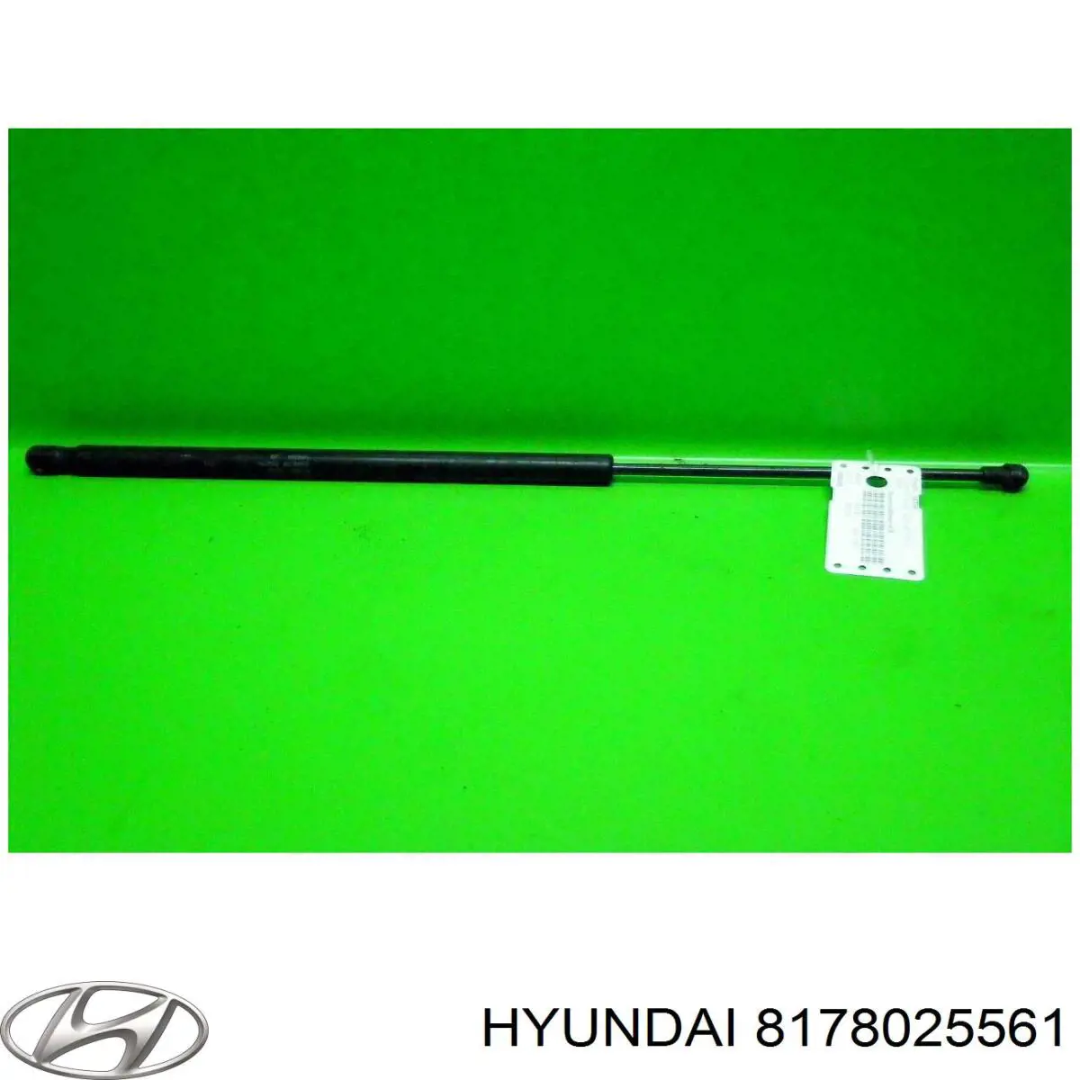  8178025561 Hyundai/Kia