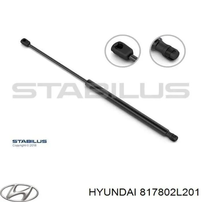Амортизатор двері задньої Hyundai/Kia 817802L201 ціна, від 6.01 USD