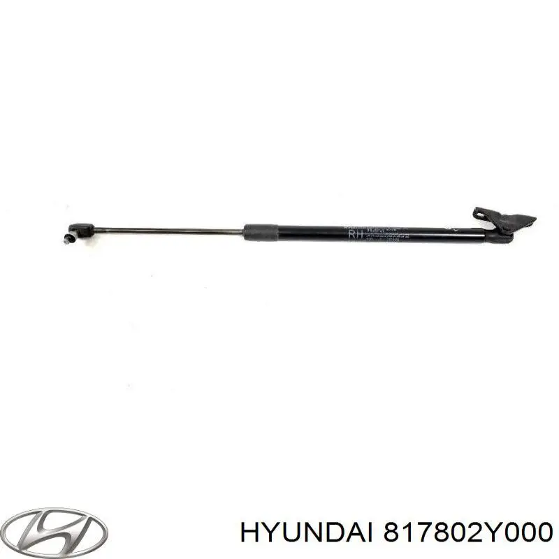 Амортизатор двері задньої Hyundai/Kia 817802Y000 ціна, від 9.10 USD